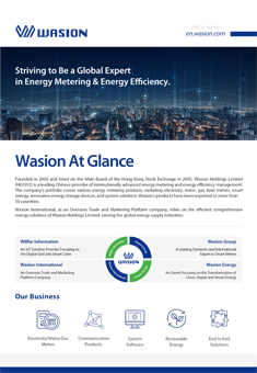 Wasion Company Profile Sheet